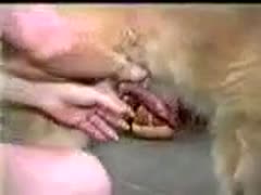 A cock-loving trollop in this dilettante xxx beastiality film displays her fucking prowess on a dog.